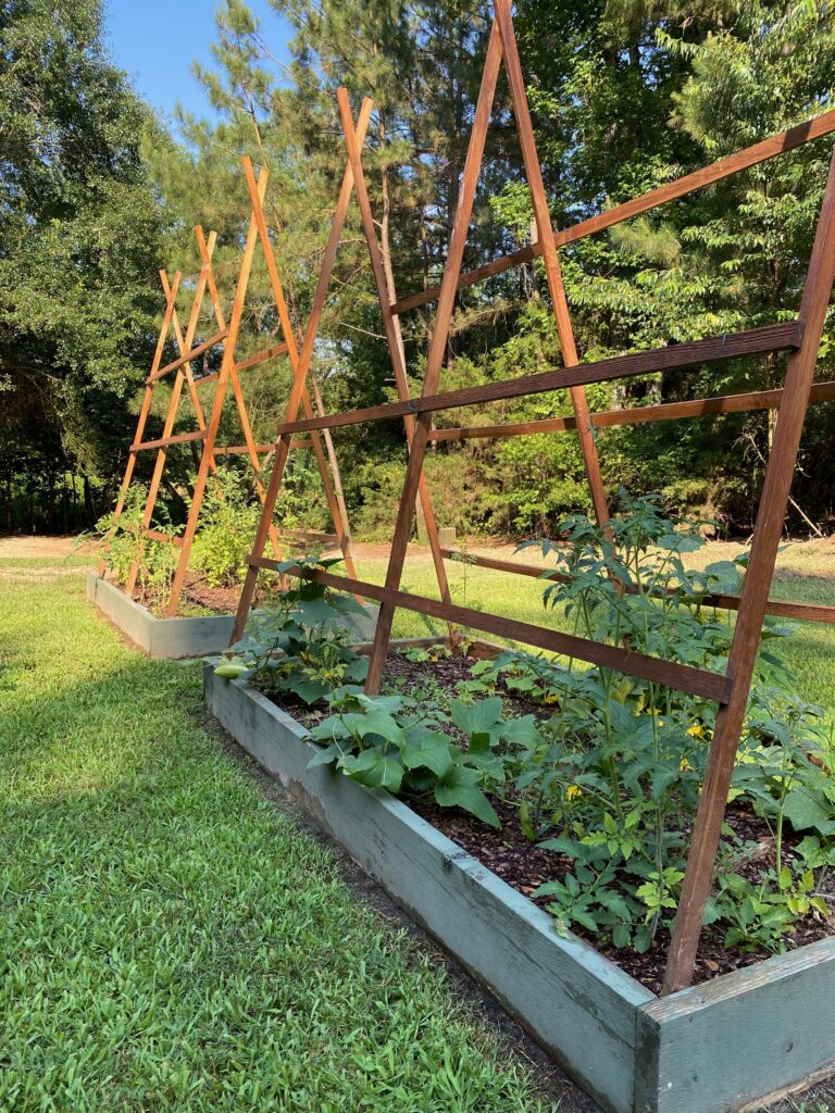 backyard raised garden beds trellis