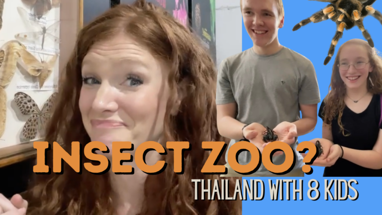 Touring the Unbelievable Thailand Zoo of…Insects?